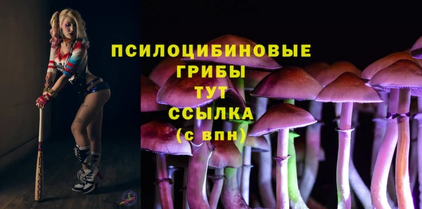 дмт Нефтекумск