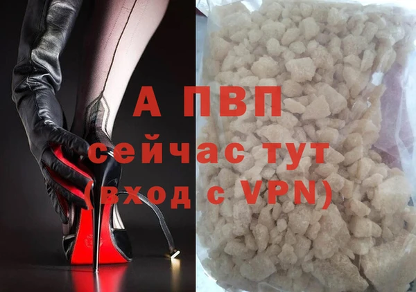 гашик Нефтегорск