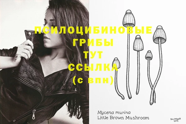 мяу мяу мука Новозыбков