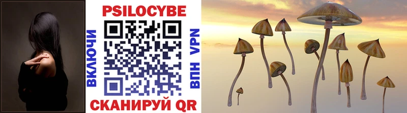 Галлюциногенные грибы Magic Shrooms  купить закладку  Мосальск 